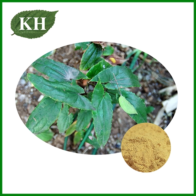 Epimedium Extract Powder Epimedium Extract Powder